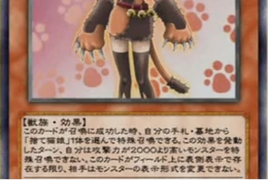 Stray Cat Girl | Yu-Gi-Oh! Wiki | Fandom Stray Cat Girl | Yu-Gi-Oh! Wiki | Fandom