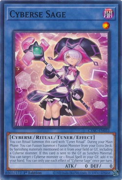 Card Gallery:Cyberse Sage | Yu-Gi-Oh! Wiki | Fandom