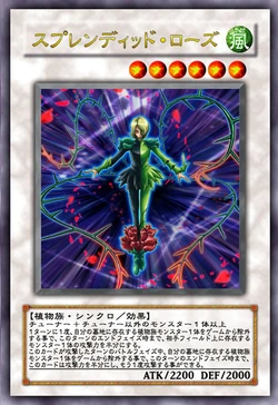 Card Gallery:Splendid Rose | Yu-Gi-Oh! Wiki | Fandom