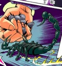 Pet Scorpion