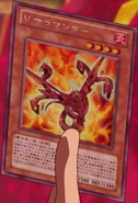 V Salamander