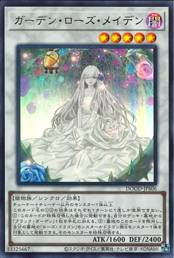 ガーデン・ローズ・メイデン アジア Yu-Gi-Oh! OCG/[QCDB] QUARTER CENTURY DUELIST BOX]Garden Rose