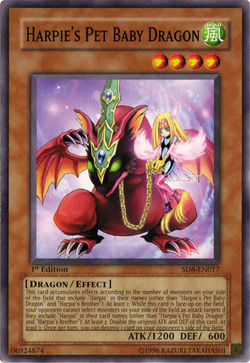 Card Gallery:Harpie's Pet Baby Dragon | Yu-Gi-Oh! Wiki | Fandom Card Gallery:Harpie's Pet Baby Dragon | Yu-Gi-Oh! Wiki | Fandom