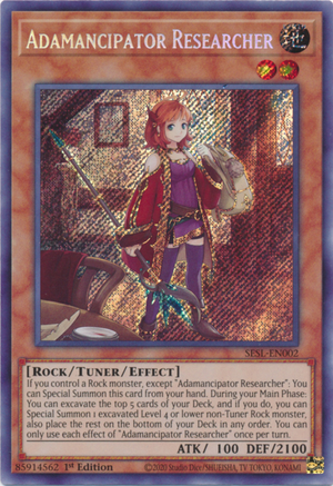AdamancipatorResearcher-SESL-EN-ScR-1E.png