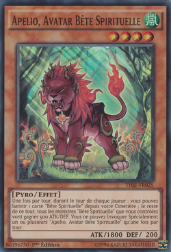 Was ist ein Avatar spirituell? Was ist ein Avatar spirituell?