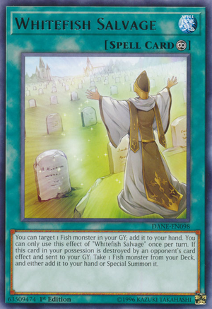 WhitefishSalvage-DANE-EN-R-1E.png
