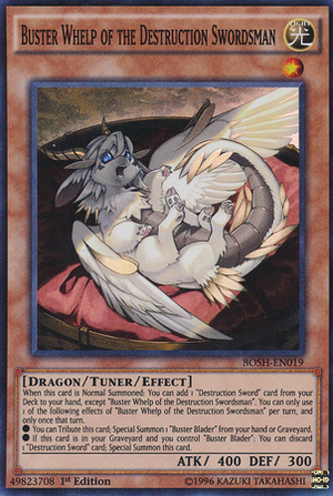 BusterWhelpoftheDestructionSwordsman-BOSH-EN-SR-1E.png