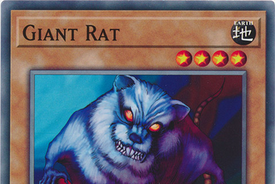 Mystic Tomato | Yu-Gi-Oh! Wiki | Fandom Mystic Tomato | Yu-Gi-Oh! Wiki | Fandom