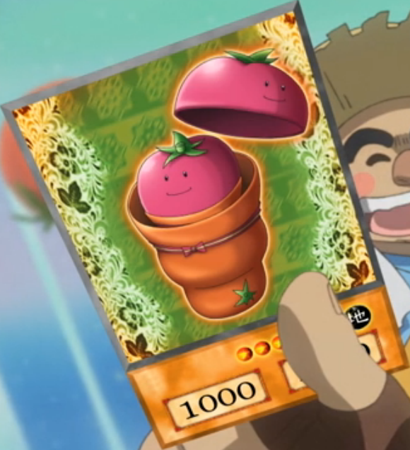 Card Gallery:Tomato in Tomato | Yu-Gi-Oh! Wiki | Fandom
