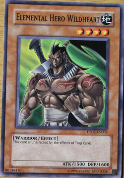 Card Gallery:Elemental HERO Wildheart | Yu-Gi-Oh! Wiki | Fandom