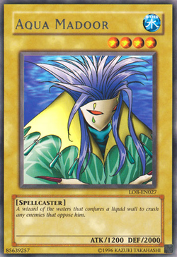 Card Gallery:Aqua Madoor | Yu-Gi-Oh! Wiki | Fandom Card Gallery:Aqua Madoor | Yu-Gi-Oh! Wiki | Fandom