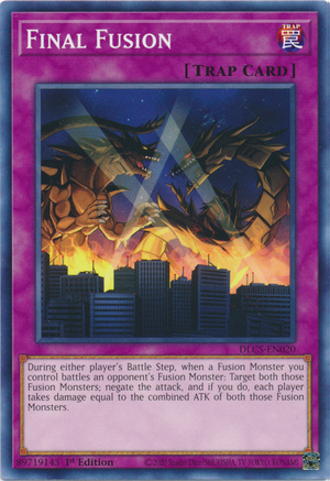 FinalFusion-DLCS-EN-C-1E.png