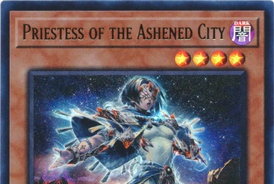 遊戯王/YuGiOh Duel Terminal 5A BOX/北米版