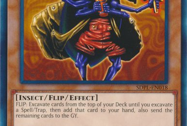 Insect | Yu-Gi-Oh! Wiki | Fandom