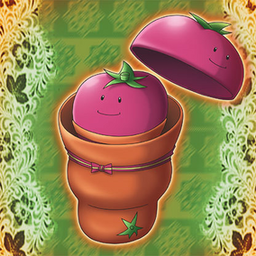 遊戯王 - tomato品 遊戯王：Mystic Tomato：1st・LCYW-EN239 - メルカリ