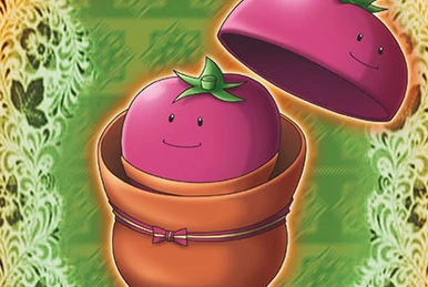 トマト☆彡 Tough Tomato | Yu-Gi-Oh! Wiki | Fandom