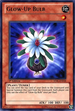 Card Gallery:Glow-Up Bulb | Yu-Gi-Oh! Wiki | Fandom