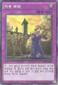 PP10-KR042 (SR) (1st Edition) Yu-Gi-Oh! 5D's Tag Force 5 promotional cards