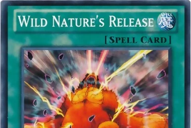 yugioh rikka deck Magic: The Gathering [Odyssey]