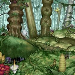 VerdantSanctuary-TF05-JP-VG.jpg