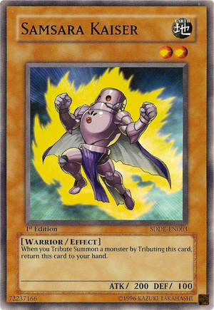 SamsaraKaiser-SDDE-EN-C-1E.png