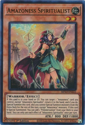Amazoness Spiritualist | Yu-Gi-Oh! Wiki | Fandom