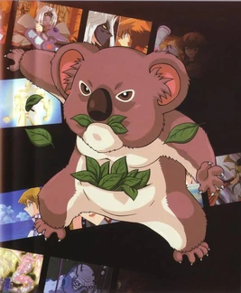 Des Koala (Character)
