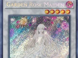 Garden Rose Maiden