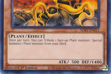 Skill Drain Deck | Yu-Gi-Oh! Wiki | Fandom