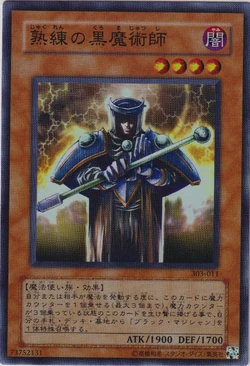 本格構築黒魔導師デッキ③ Amazon | 青黒COMPLEX 構築済み デッキ メイン40 二重スリーブ