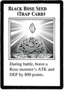 Black Rose Seed
