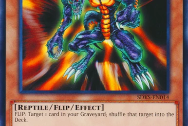 Seto Kaiba's Decks | MFG Yu-Gi-Oh! RPG Wiki | Fandom Seto Kaiba's Decks | MFG Yu-Gi-Oh! RPG Wiki | Fandom