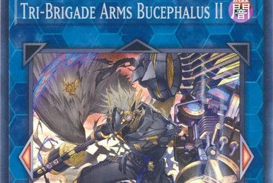 Noritoshi in Darkest Rainment | Yu-Gi-Oh! Wiki | Fandom