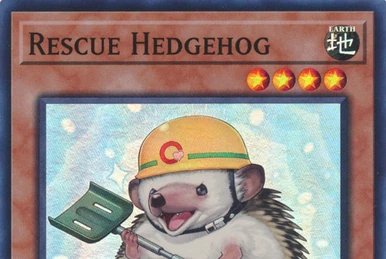 Rescue Rabbit | Yu-Gi-Oh! Wiki | Fandom Rescue Rabbit | Yu-Gi-Oh! Wiki | Fandom