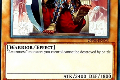 Amazoness Fighting Spirit | Yu-Gi-Oh! Wiki | Fandom