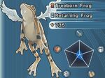 TreebornFrog-WC07