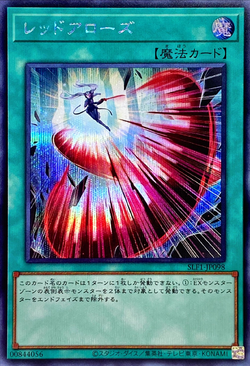 PSA10 天の加護 special red 赤文字 シークレット PSA10 天の加護 special red 赤文字 シークレット 2025年最新