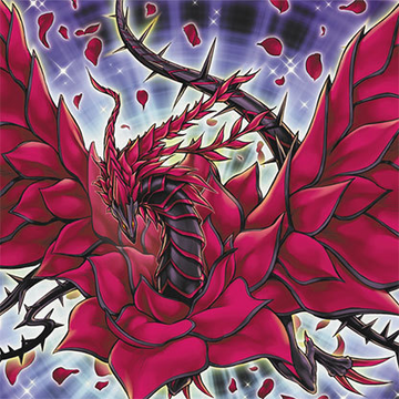 List of Yu-Gi-Oh! The Duelists of the Roses cards, Yu-Gi-Oh! Wiki