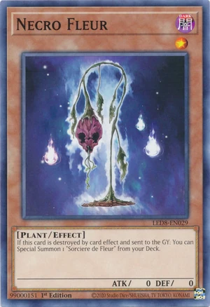 NecroFleur-LED8-EN-C-1E
