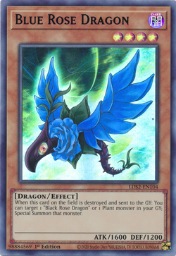 ブルーローズページ Card Gallery:Blue Rose Dragon | Yu-Gi-Oh! Wiki | Fandom
