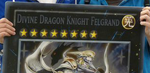 Divine Dragon Knight Felgrand Turin 2013[89]