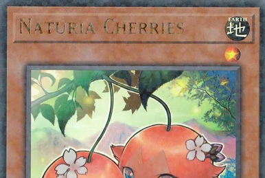 Naturia Eggplant | Yu-Gi-Oh! Wiki | Fandom Naturia Eggplant | Yu-Gi-Oh! Wiki | Fandom