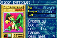 #383 "Parrot Dragon" Dragon perroquet