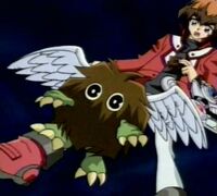 Winged Kuriboh