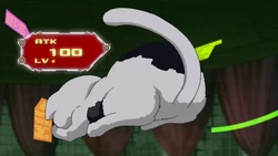 Stray Cat (anime) | Yu-Gi-Oh! Wiki | Fandom