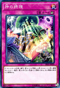 SR05-JP039 (C) Structure Deck R: Surge of Divine Light