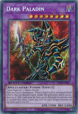 Card Gallery:Dark Paladin | Yu-Gi-Oh! Wiki | Fandom