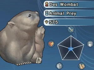 Des Wombat