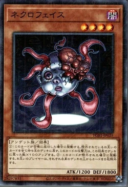 Yugioh - Necroface - 1st Edition Card List Yu-Gi-Oh! Necroface 1st Edition Card - Near Mint English TCG Collectible Yugioh Junk Cards Yugioh - Necroface - 1st Edition Card List Yu-Gi-Oh! Necroface 1st Edition Card - Near Mint English TCG Collectible Yugioh Junk Cards
