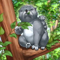 Card Gallery:Tree Otter | Yu-Gi-Oh! Wiki | Fandom Card Gallery:Tree Otter | Yu-Gi-Oh! Wiki | Fandom